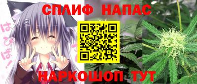 шишки Нарткала