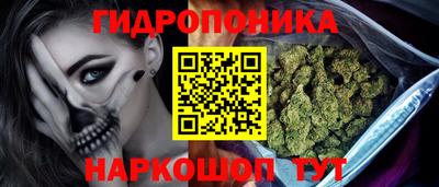 шишки Нарткала