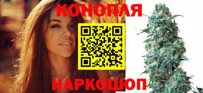 шишки Нарткала