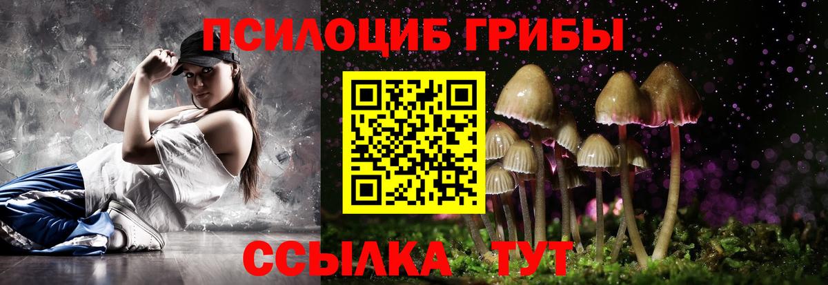 Галлюциногенные грибы Psilocybine cubensis  Вход с VPN  Псилоцибиновые грибы мухоморы  Серпухов 